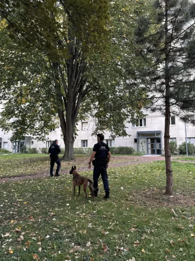 Activité Dirigées Bailleurs 1