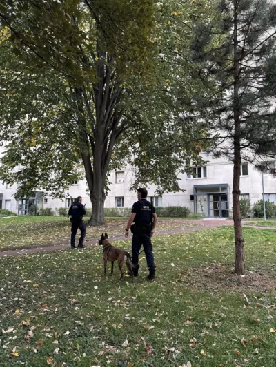 Activité Dirigées Bailleurs 1
